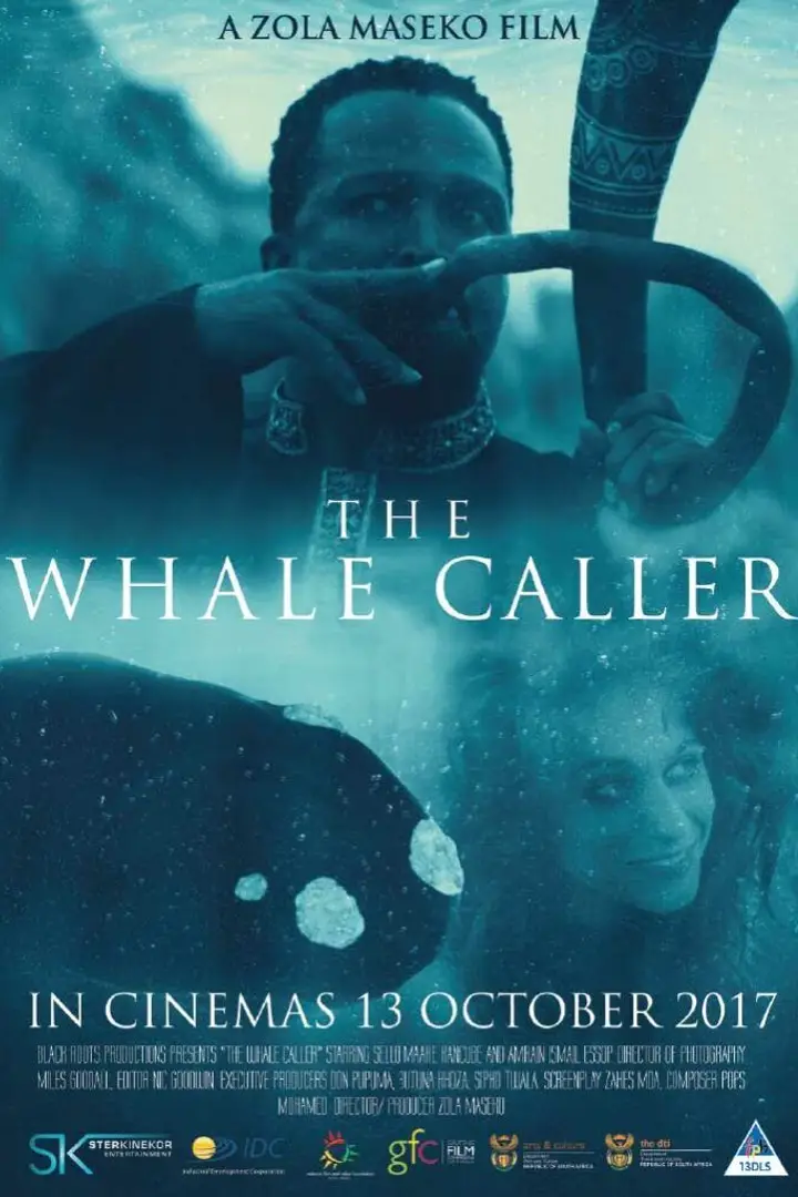 The poster of The Whale Caller (2017)