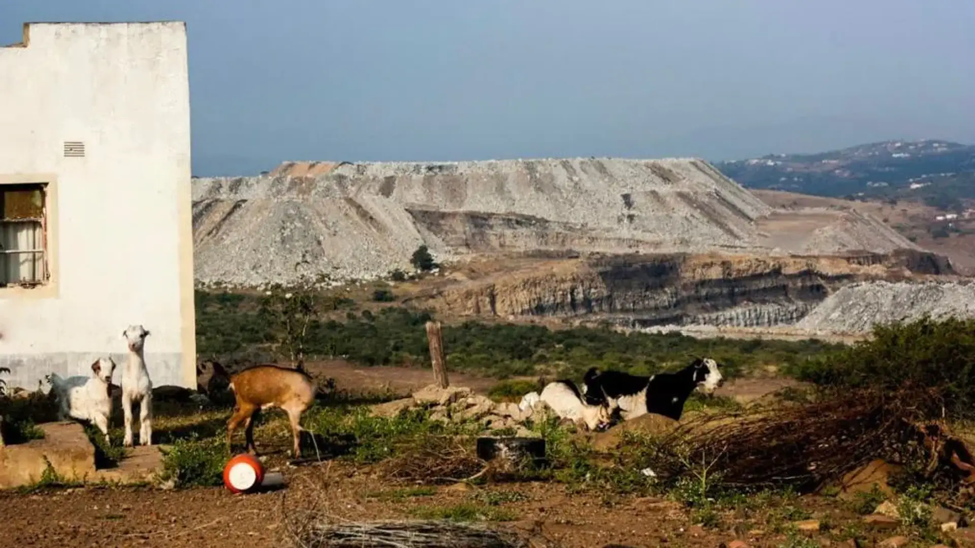 Goats in front of a white house with a mining site in the background