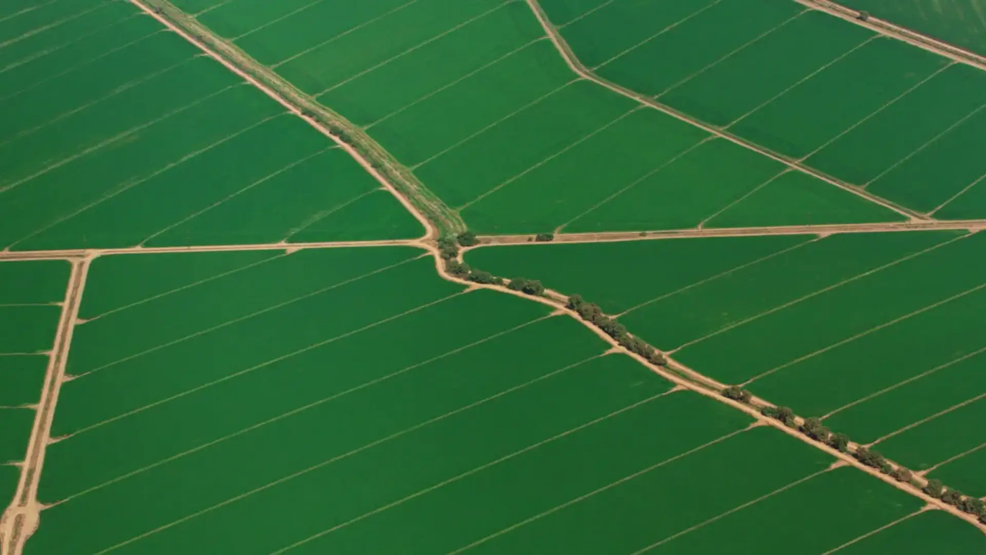 A vast green farm landscape