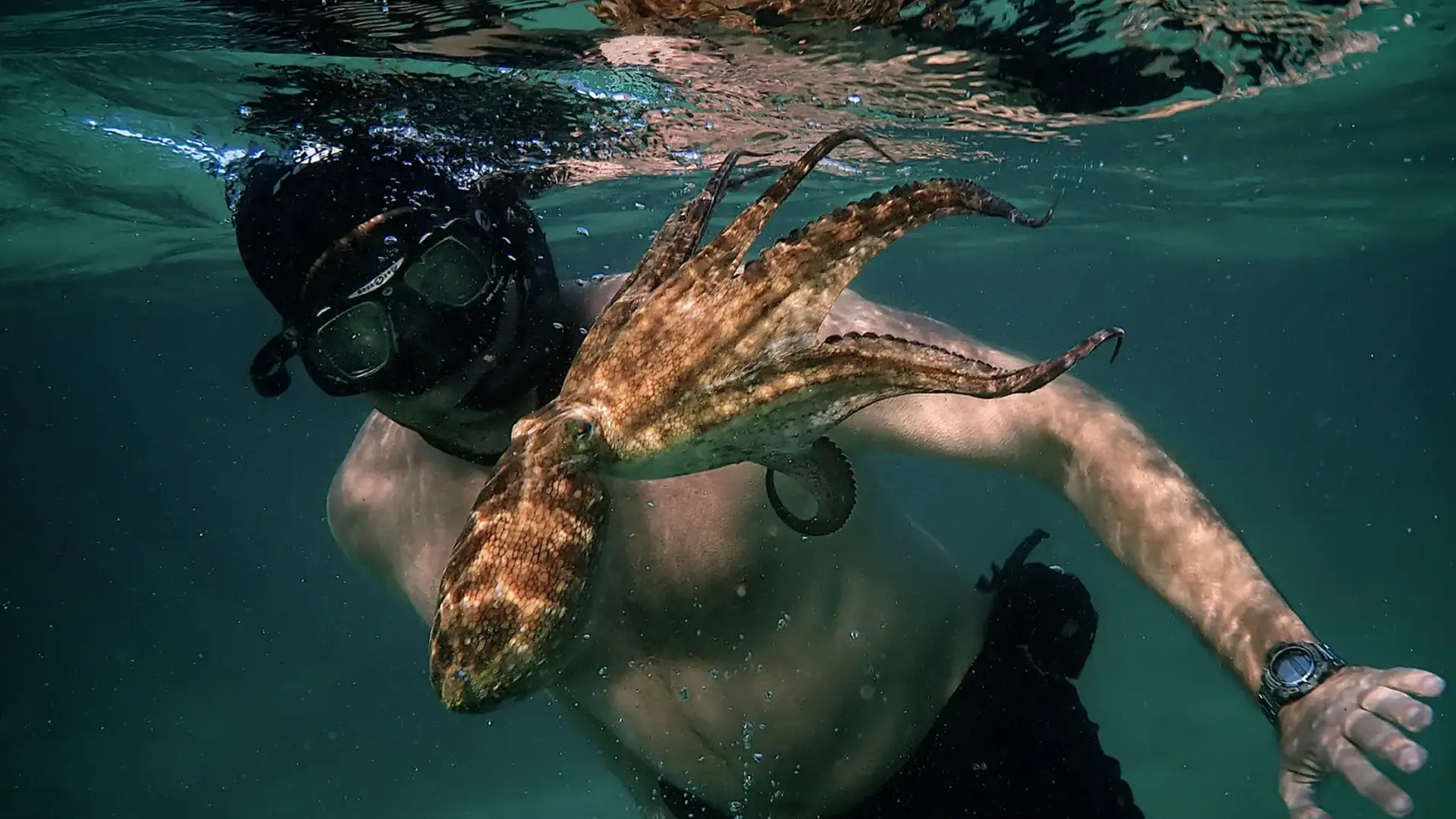 A man underwater with an octopus