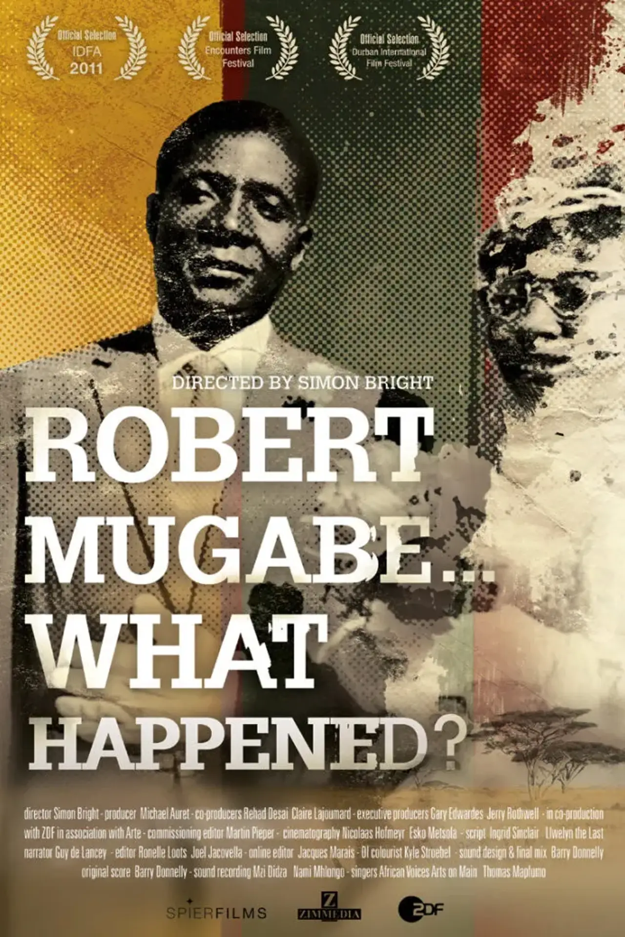 Robert Mugabe... What Happened? poster