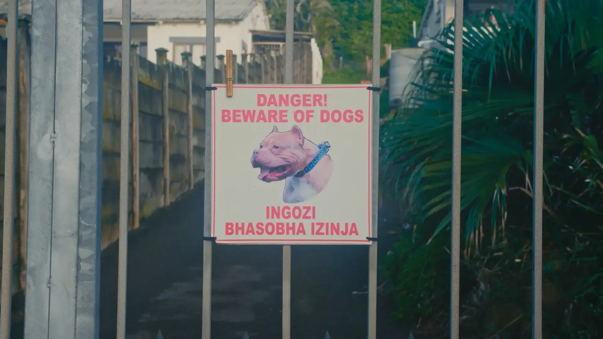 A beware of dogs sign